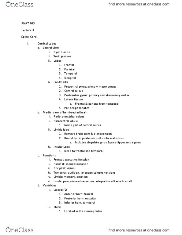 ANATOMY 403 Lecture Notes - Lecture 3: Temporal Lobe, Choroid Plexus, Somatosensory System thumbnail