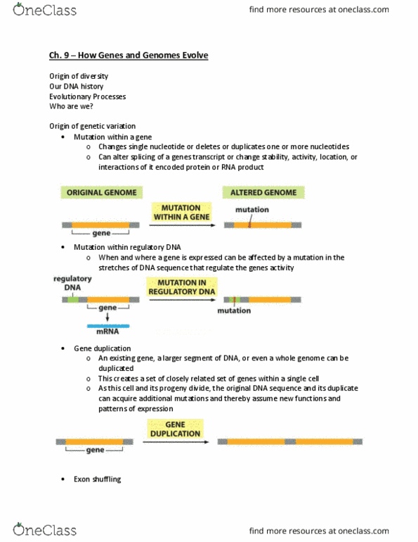 BIL 255 Lecture 9: Chapter 9 - Gene and Genome evolution thumbnail