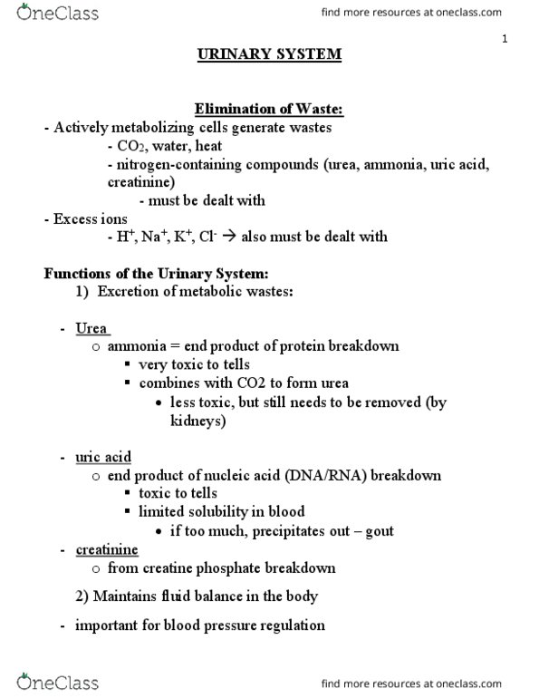 BIO 161 Lecture Notes - Lecture 11: Water Balance, Renal Function, Skeletal Muscle thumbnail