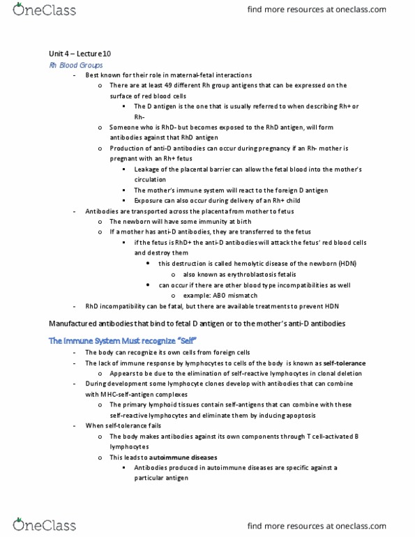 BIOL 2420 Lecture Notes - Lecture 10: Hemolytic Disease Of The Newborn, Clonal Deletion, B Cell thumbnail