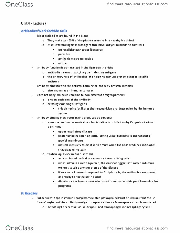 BIOL 2420 Lecture Notes - Lecture 7: Immune Complex, Fragment Crystallizable Region, Antigen thumbnail