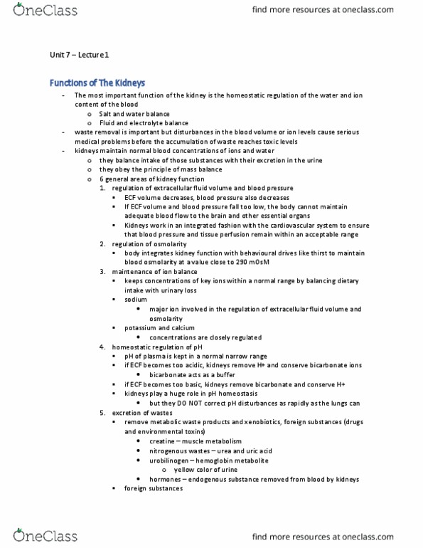 BIOL 2420 Lecture Notes - Lecture 1: Extracellular Fluid, Metabolic Waste, Urobilinogen thumbnail