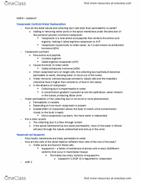 BIOL 2420 Lecture Notes - Lecture 3: Distal Convoluted Tubule, Aquaporin 2, Collecting Duct System thumbnail