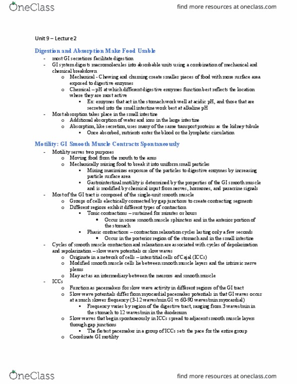BIOL 2420 Lecture Notes - Lecture 2: Gastrointestinal Physiology, Nerve Plexus, Motility thumbnail