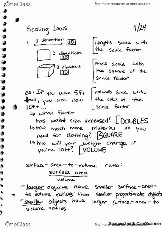 MATH 1012 Lecture 20: Math Notes 4/8 thumbnail
