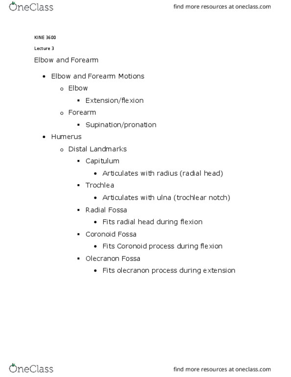 KINE 3600 Lecture Notes - Lecture 3: Trochlear Notch, Olecranon, Head Of Radius thumbnail