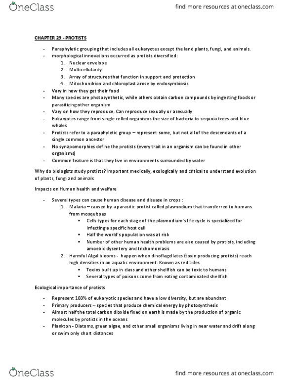 BLG 144 Lecture Notes - Lecture 13: Amoebiasis, Nuclear Membrane, Paraphyly thumbnail