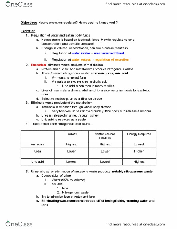 BIOG 1440 Lecture Notes - Lecture 16: Metabolic Waste, List Of Lakes By Volume, Reabsorption thumbnail