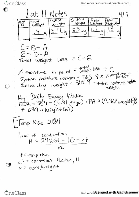 ANTH 2040 Lecture 11: Lab 11 Notes thumbnail