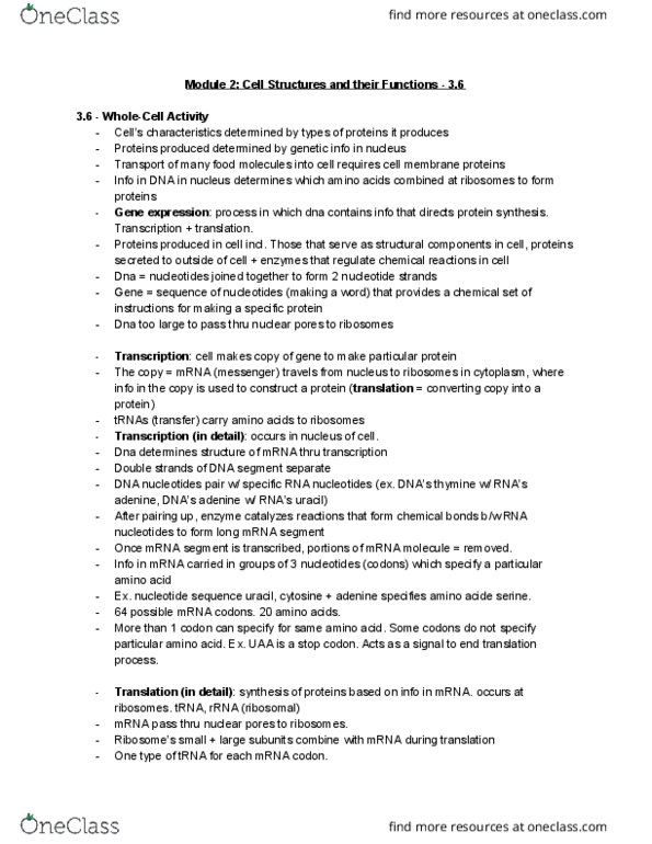 BPK 105 Chapter Notes - Chapter 3.6: Nuclear Pore, Uracil, Adenine thumbnail