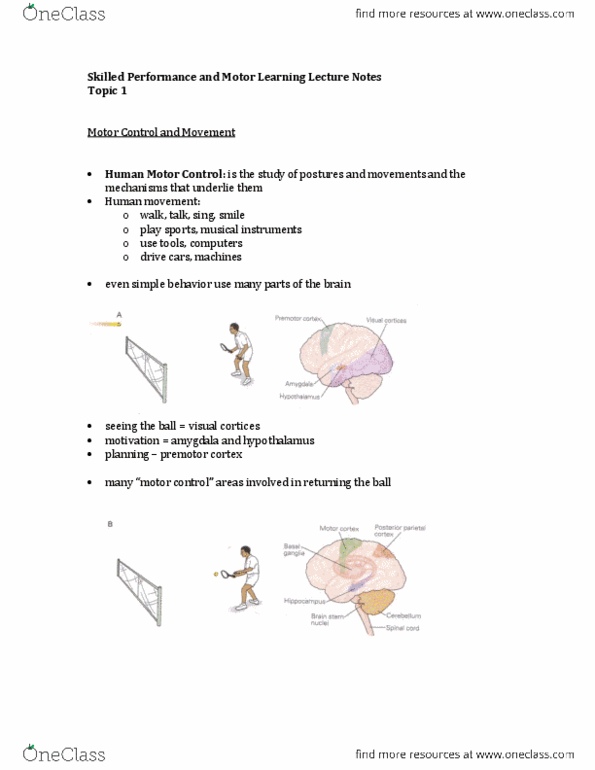 KINE 3020 Lecture : Skilled Performance and Motor Learning Lecture Notes.docx thumbnail