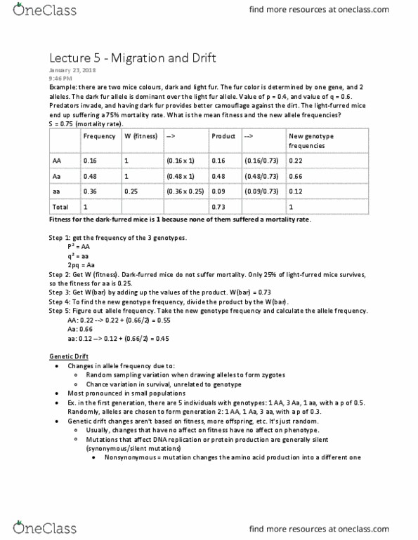 BIOL 2040 Lecture Notes - Lecture 5: Genotype Frequency, Allele Frequency, Genetic Drift thumbnail