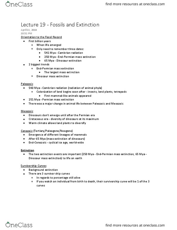 BIOL 2040 Lecture Notes - Lecture 19: Survivorship Curve, Neontology, Background Extinction Rate thumbnail