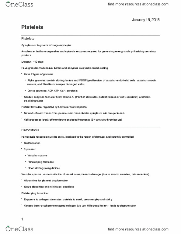 PHS 3342 Lecture Notes - Lecture 4: Von Willebrand Factor, Vascular Smooth Muscle, Vasospasm thumbnail