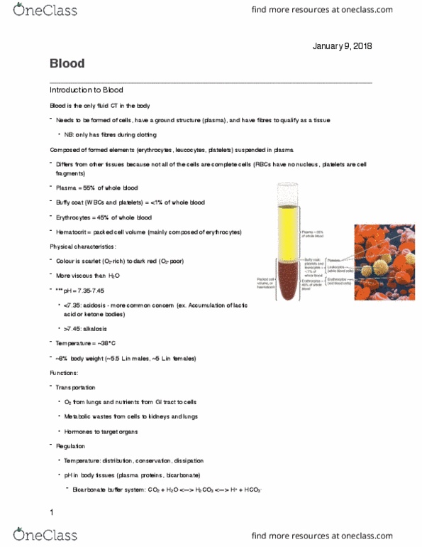 PHS 3342 Lecture Notes - Lecture 1: Buffy Coat, Ketone Bodies, White Blood Cell thumbnail