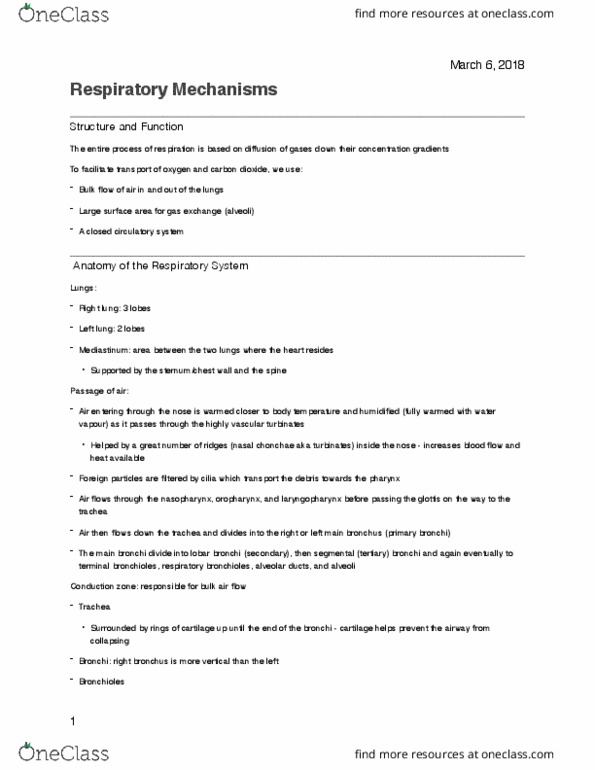 PHS 3342 Lecture Notes - Lecture 12: Bronchus, Respiratory Tract, Bronchiole thumbnail