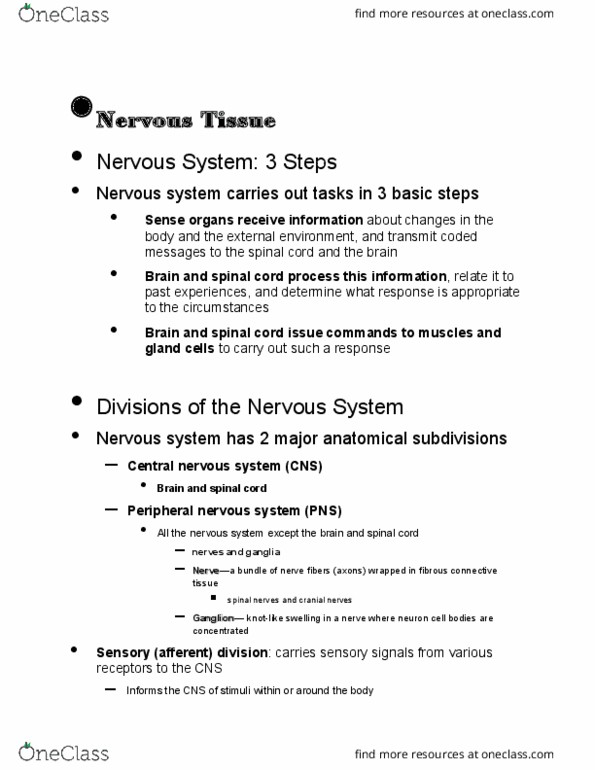 BIO 201 Lecture Notes - Lecture 12: Peripheral Nervous System, Cranial Nerves, Axon thumbnail