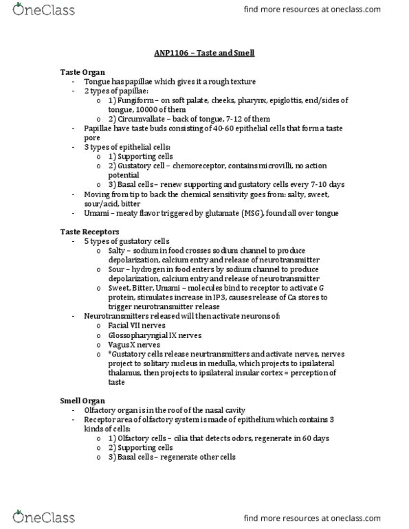 ANP 1106 Lecture 21: ANP1106 – Taste and Smell thumbnail