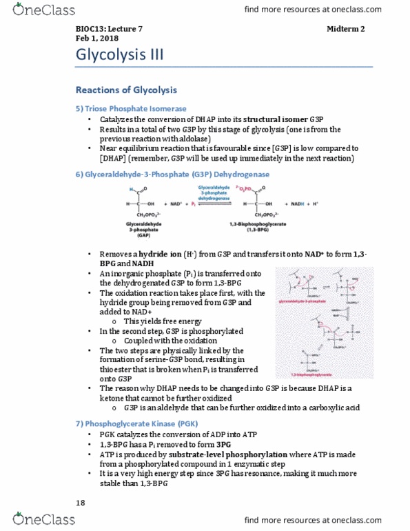 BIOC13H3 Lecture Notes - Lecture 6: Glyceraldehyde 3-Phosphate, Phosphate, 3-Phosphoglyceric Acid thumbnail