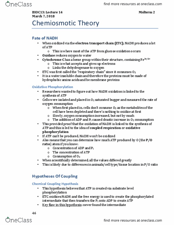 BIOC13H3 Lecture Notes - Lecture 12: Oxidative Phosphorylation, Chemiosmosis, Electron Transport Chain thumbnail