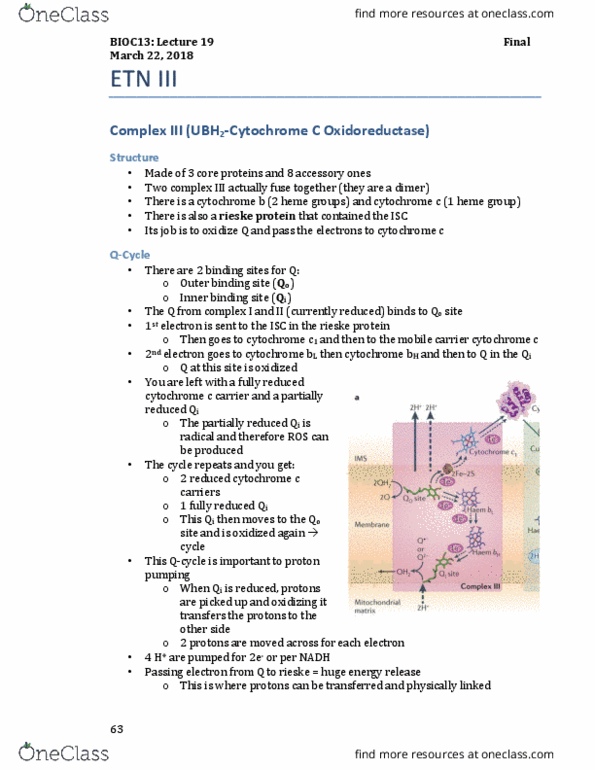 BIOC13H3 Lecture Notes - Lecture 17: Rieske Protein, Oxidoreductase, Heme thumbnail