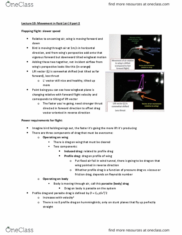 BIOD43H3 Lecture Notes - Lecture 13: Parasitic Drag, Lift-Induced Drag, Airfoil thumbnail