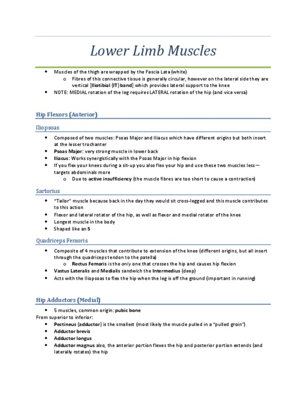 KINE 2031 Lecture : Lower Limb Muscles Lecture Notes Clear and concise notes taken during lecture. (Received an A+) thumbnail