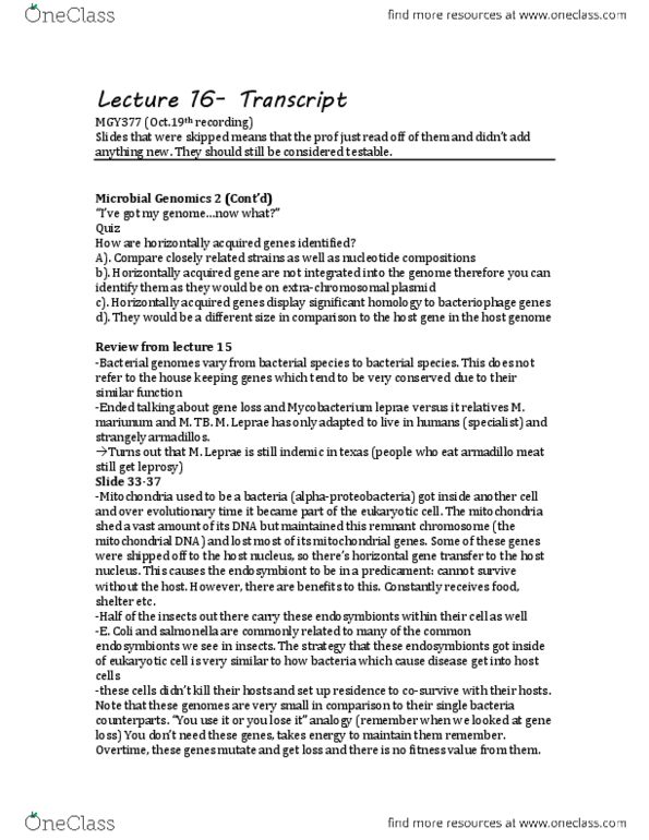 MGY377H1 Lecture Notes - Lecture 16: Alphaproteobacteria, Cistron, Enzyme thumbnail