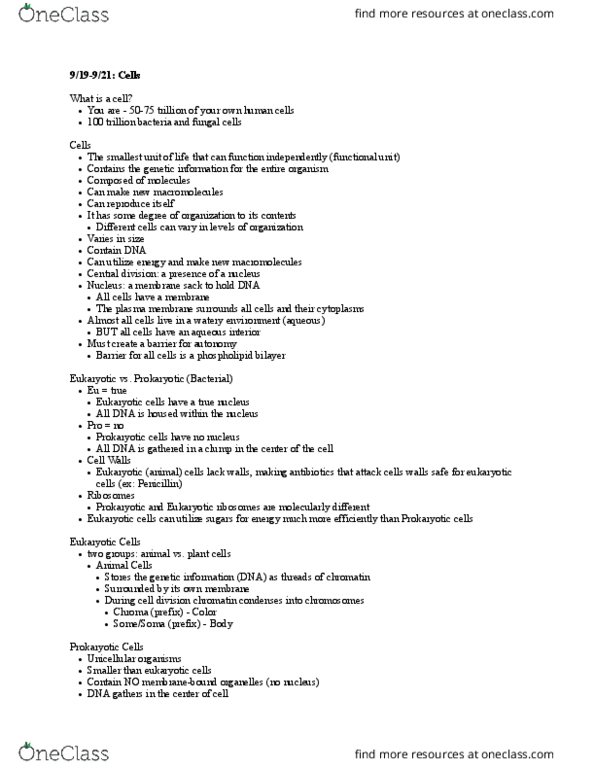 CAS BI 105 Lecture Notes - Lecture 8: Lipid Bilayer, Cell Membrane, Chromatin thumbnail