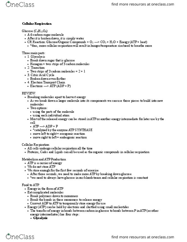 CAS BI 105 Lecture 10: Cellular Respiration thumbnail