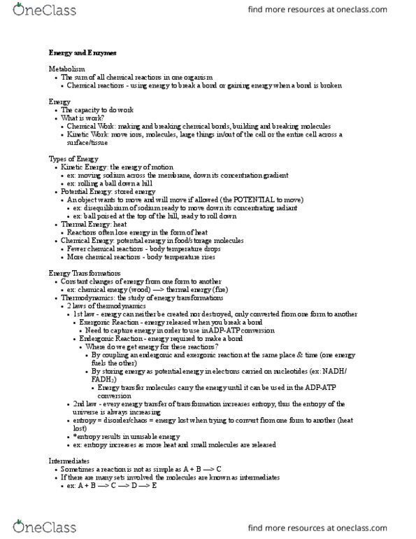 CAS BI 105 Lecture Notes - Lecture 13: Exergonic Reaction, Chemical Bond, Chemical Reaction thumbnail