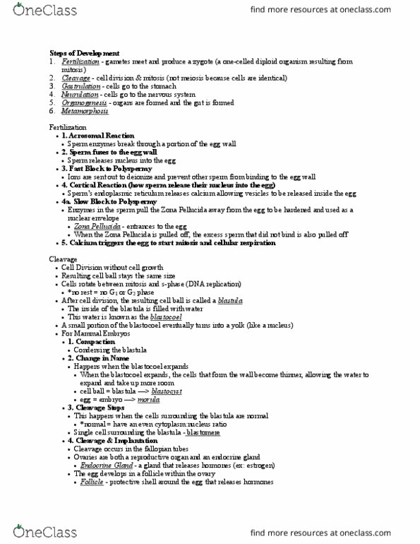 CAS BI 105 Lecture Notes - Lecture 16: Umbilical Vein, Umbilical Cord, Blastocoel thumbnail