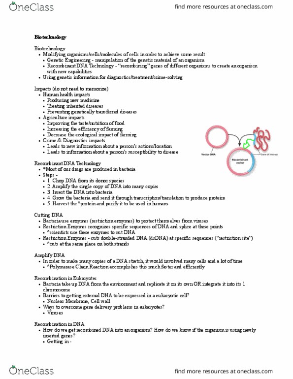 CAS BI 105 Lecture Notes - Lecture 18: Polymerase Chain Reaction, Restriction Enzyme, Restriction Site thumbnail