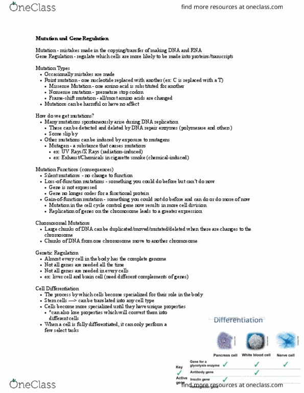 CAS BI 105 Lecture Notes - Lecture 19: Frameshift Mutation, Nonsense Mutation, Silent Mutation thumbnail