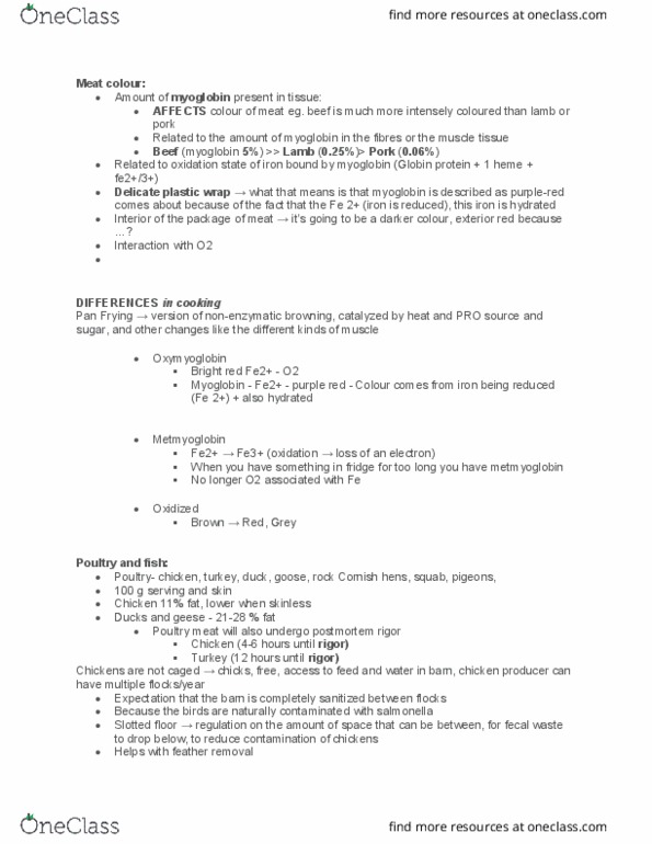 FND 100 Lecture Notes - Lecture 9: Royal Aircraft Factory F.E.2, Red, Myoglobin thumbnail