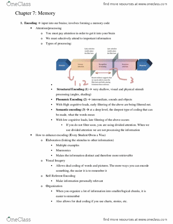 PS102 Lecture Notes - Connectionism, Semantic Network, Long-Term Memory thumbnail