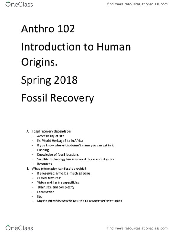 ANTH 102 Lecture Notes - Lecture 29: Arteritis, Brain Size, Ardi thumbnail