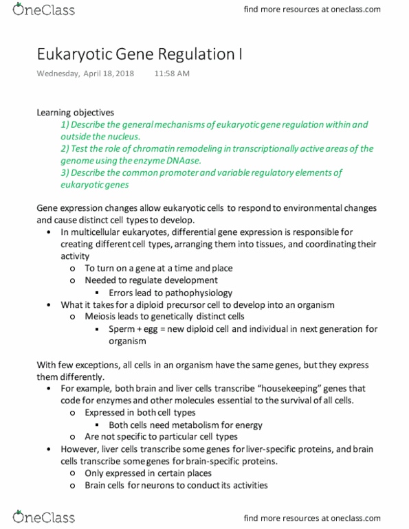 BIOL 142 Lecture Notes - Lecture 26: Regulatory Sequence, Chromatin Remodeling, Deoxyribonuclease thumbnail