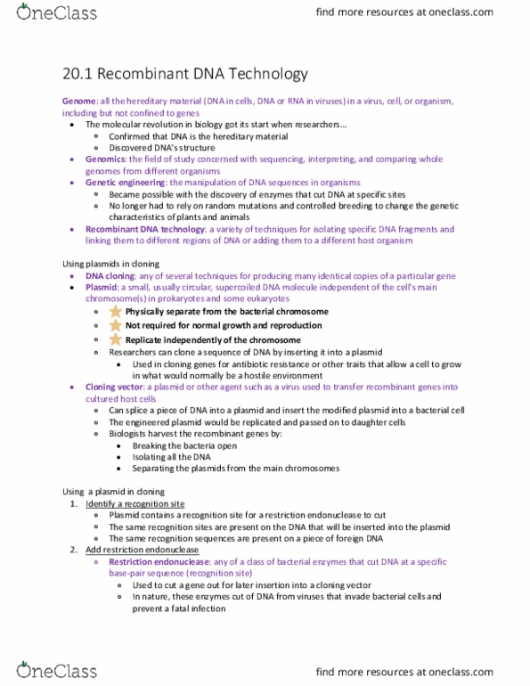 BIOL 142 Chapter 20.1 : Recombinant DNA Technology thumbnail