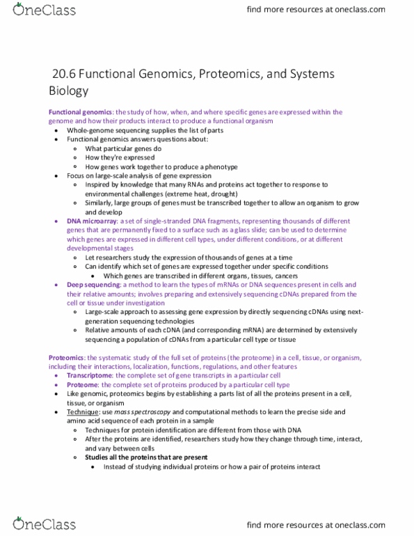 BIOL 142 Chapter Notes - Chapter 20.6: Functional Genomics, Dna Microarray, Proteome thumbnail