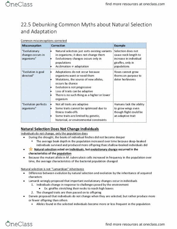 BIOL 142 Chapter Notes - Chapter 22.5: Adaptation, Mutation, Middle Ear thumbnail