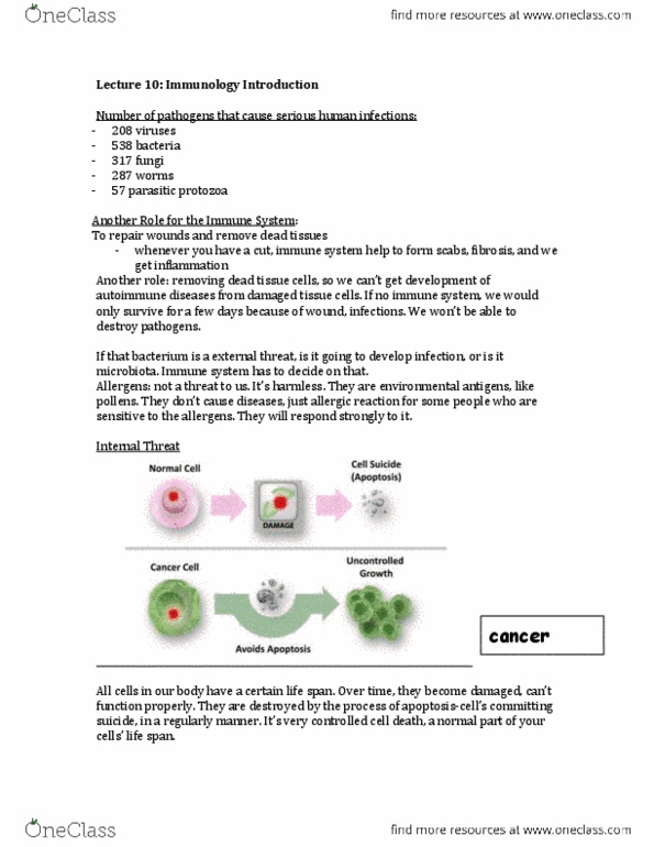 Microbiology and Immunology 2500A/B Lecture : Immunology Notes Summers.docx thumbnail