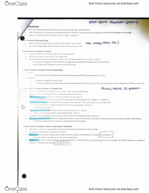 document preview image