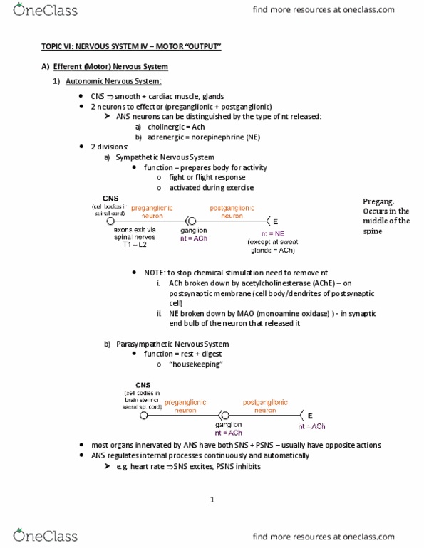 BIOL 1412 Lecture Notes - Lecture 6: Monoamine Oxidase, Gastrointestinal Physiology, Autonomic Nervous System thumbnail