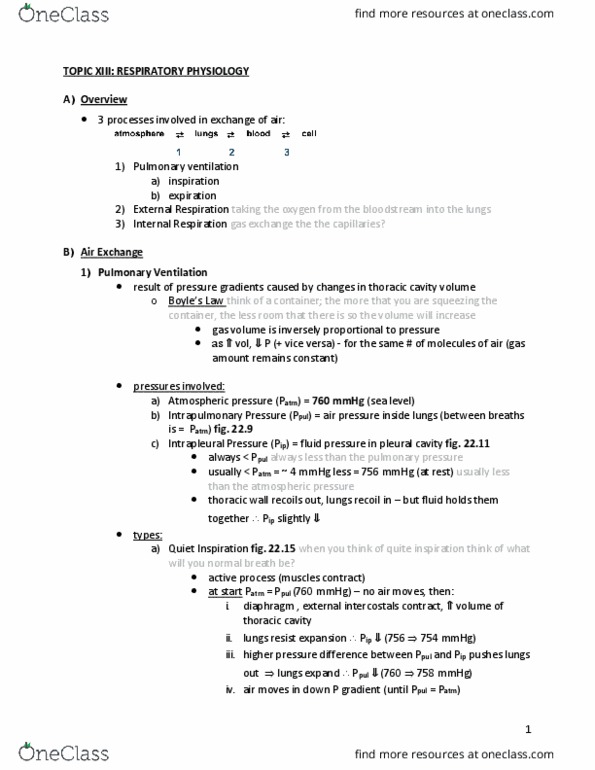 BIOL 1412 Lecture Notes - Lecture 13: Thoracic Cavity, External Intercostal Muscles, Thoracic Wall thumbnail