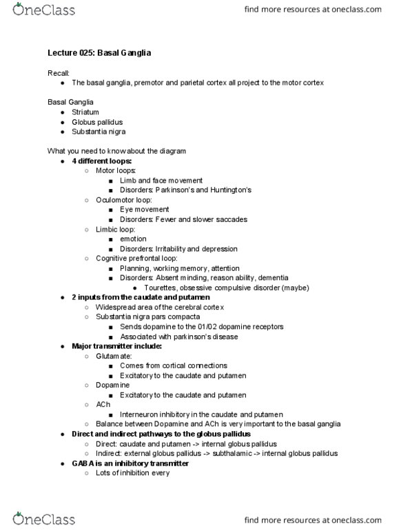 Physiology 2130 Lecture Notes - Lecture 25: Pars Compacta, Lateral Globus Pallidus, Basal Ganglia thumbnail