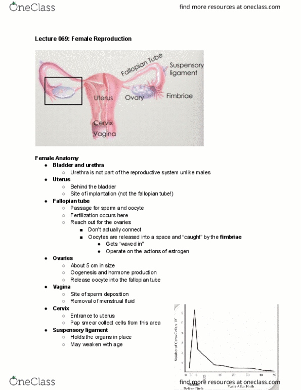 document preview image