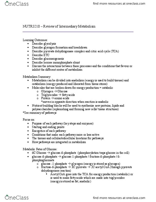 NUTR 3210 Lecture Notes - Lecture 4: Pentose Phosphate Pathway, Pyruvate Dehydrogenase Complex, Uridine Diphosphate thumbnail