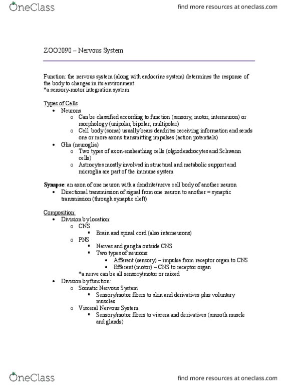 ZOO 2090 Lecture Notes - Lecture 19: Afferent Nerve Fiber, Motor Neuron, Schwann Cell thumbnail