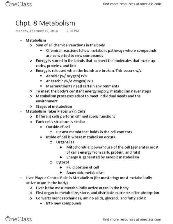 NUTR 2105 Lecture 7: Chapter 8 Metabolism thumbnail